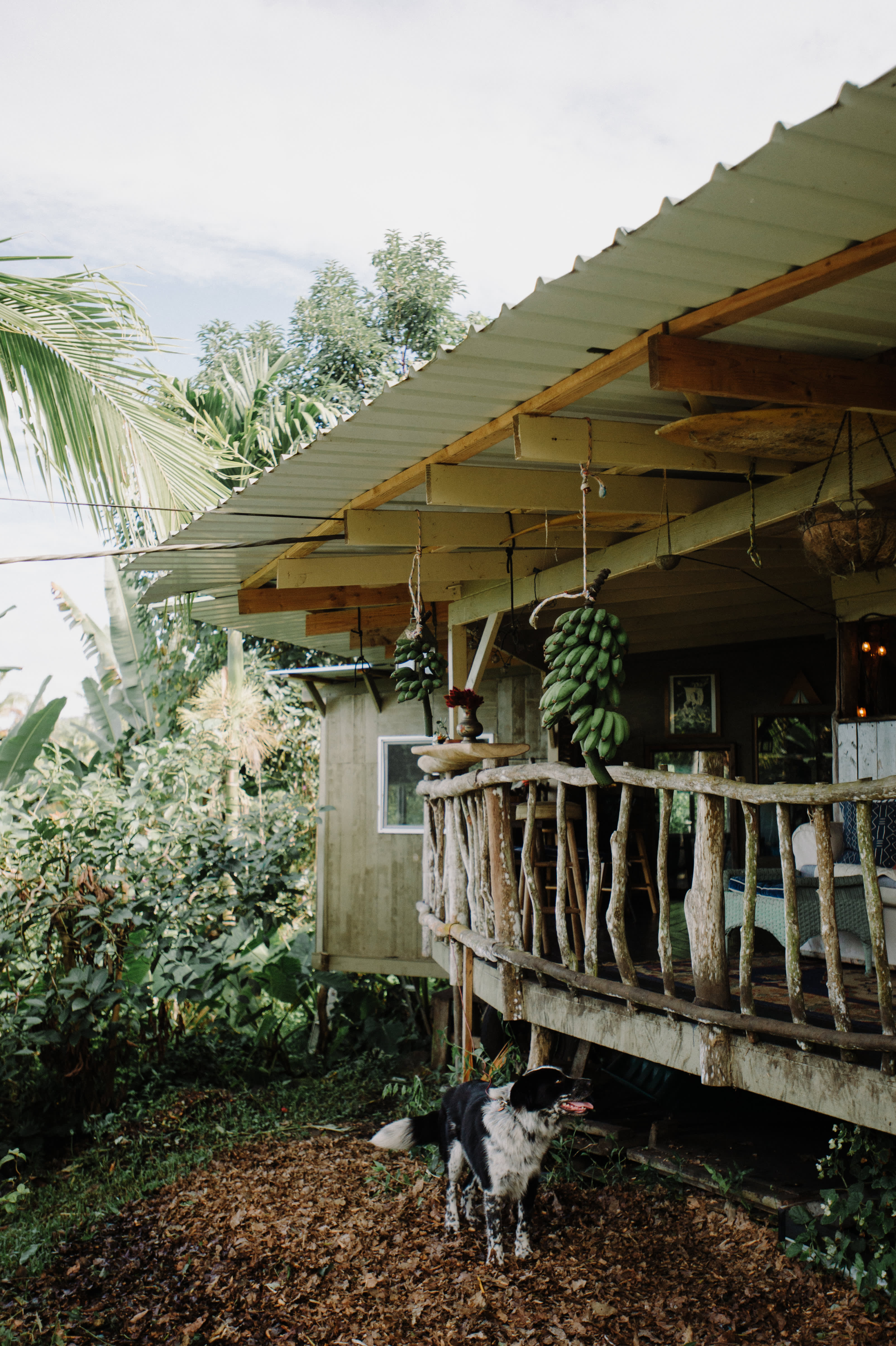 Rustic Hawaiian Homestead House Tour Photos Apartment Therapy   F6f3a086bd9ac3a8ca52cab8f2b54c5a75d48554